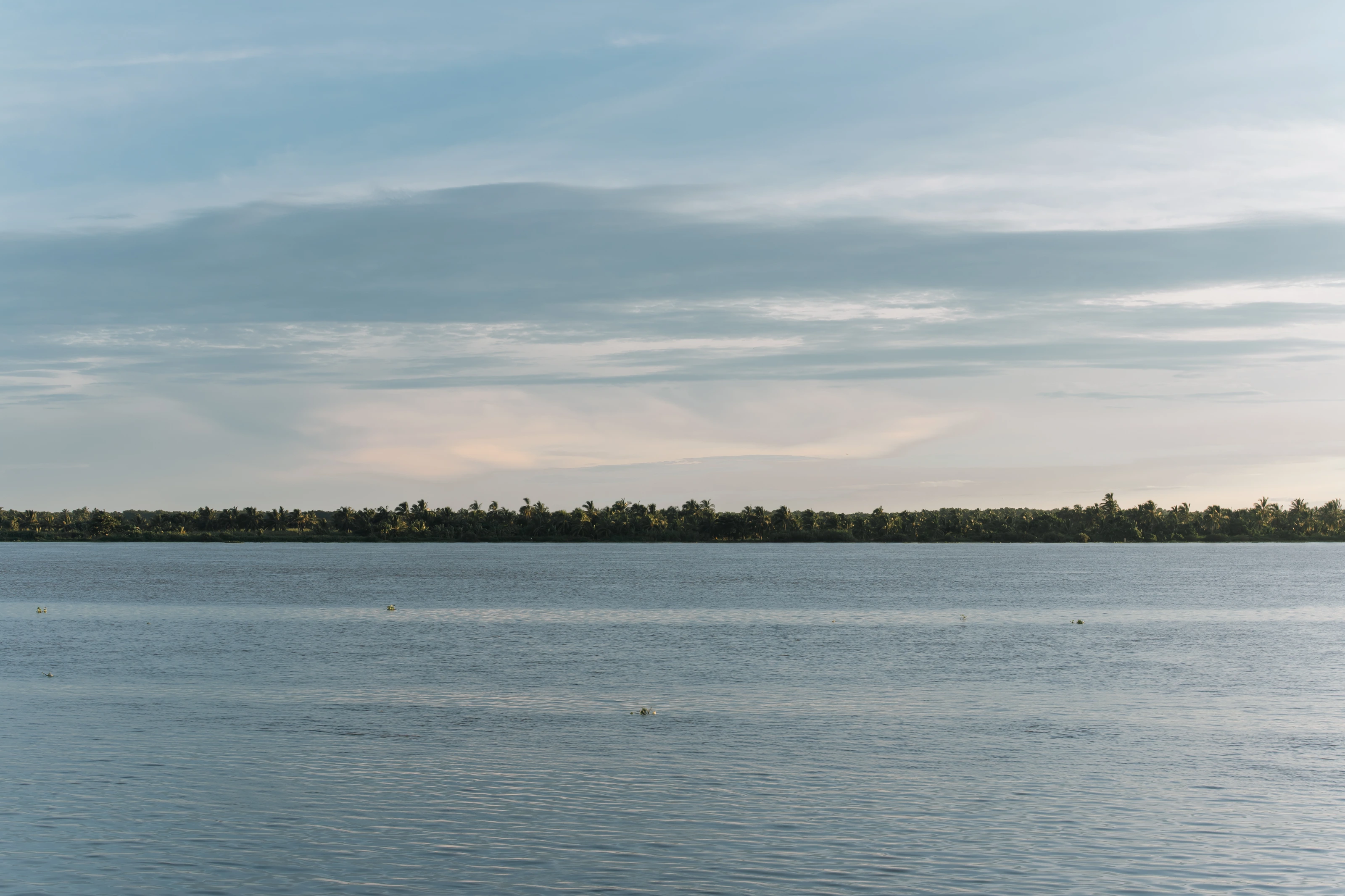 Wide blue water beneath a pale sky