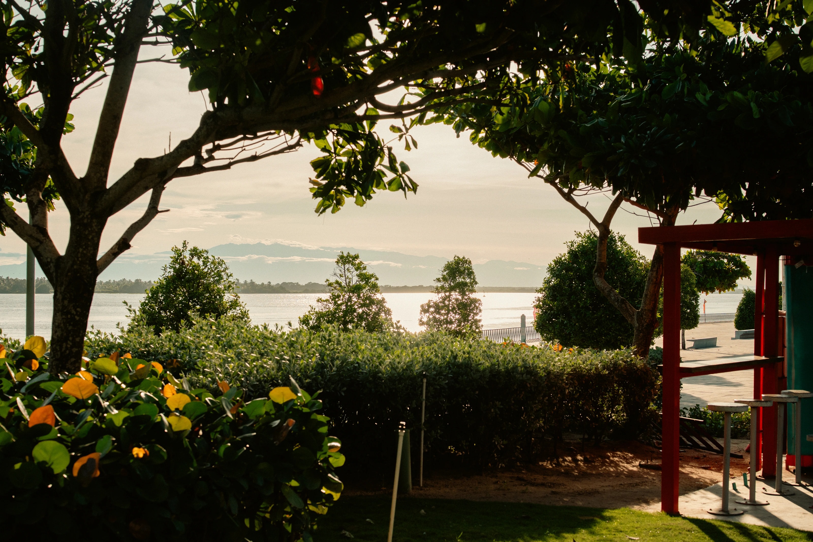 A shaded garden looking out to sea