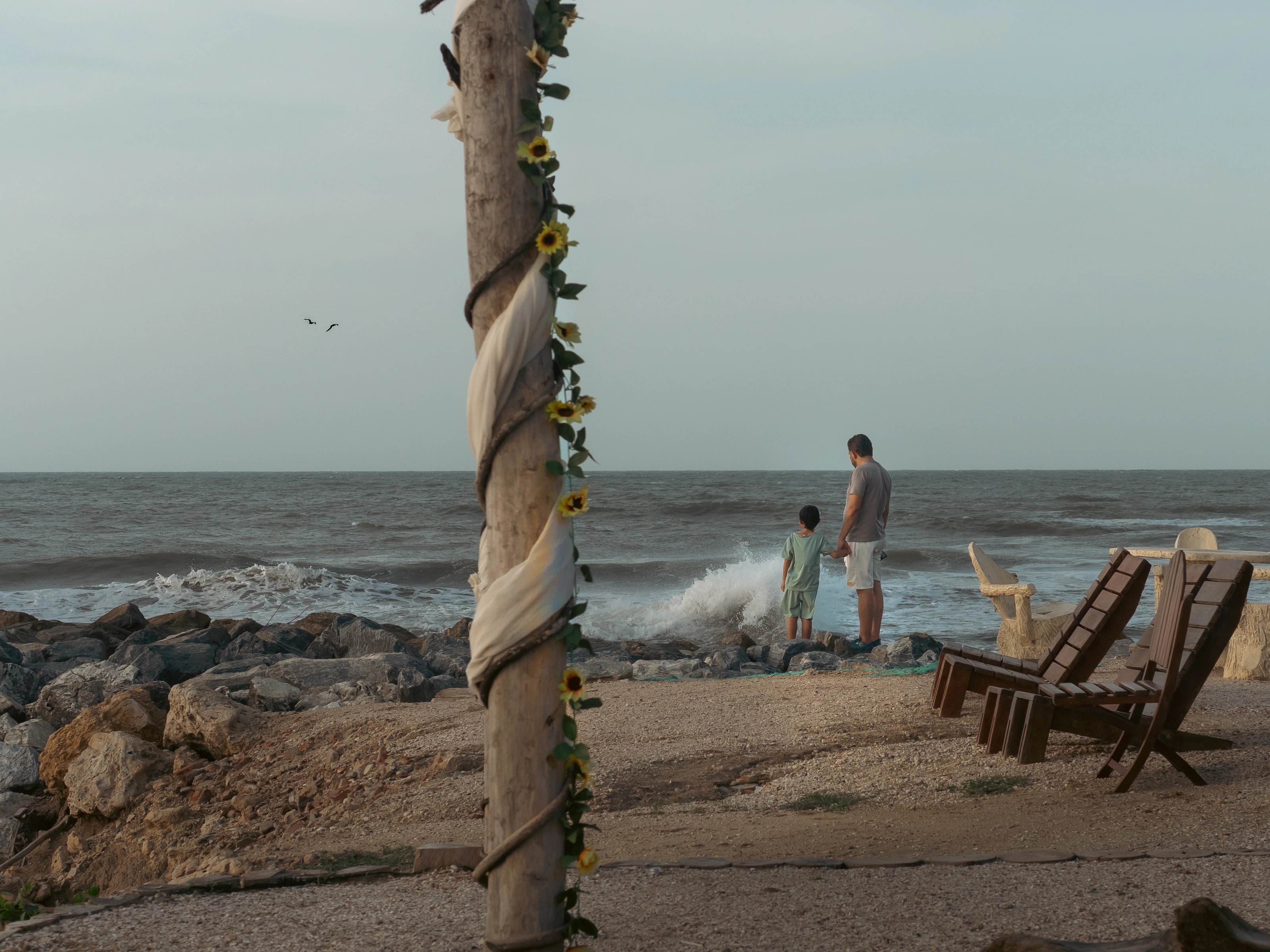 A tree trunk and beach chairs facing the sea