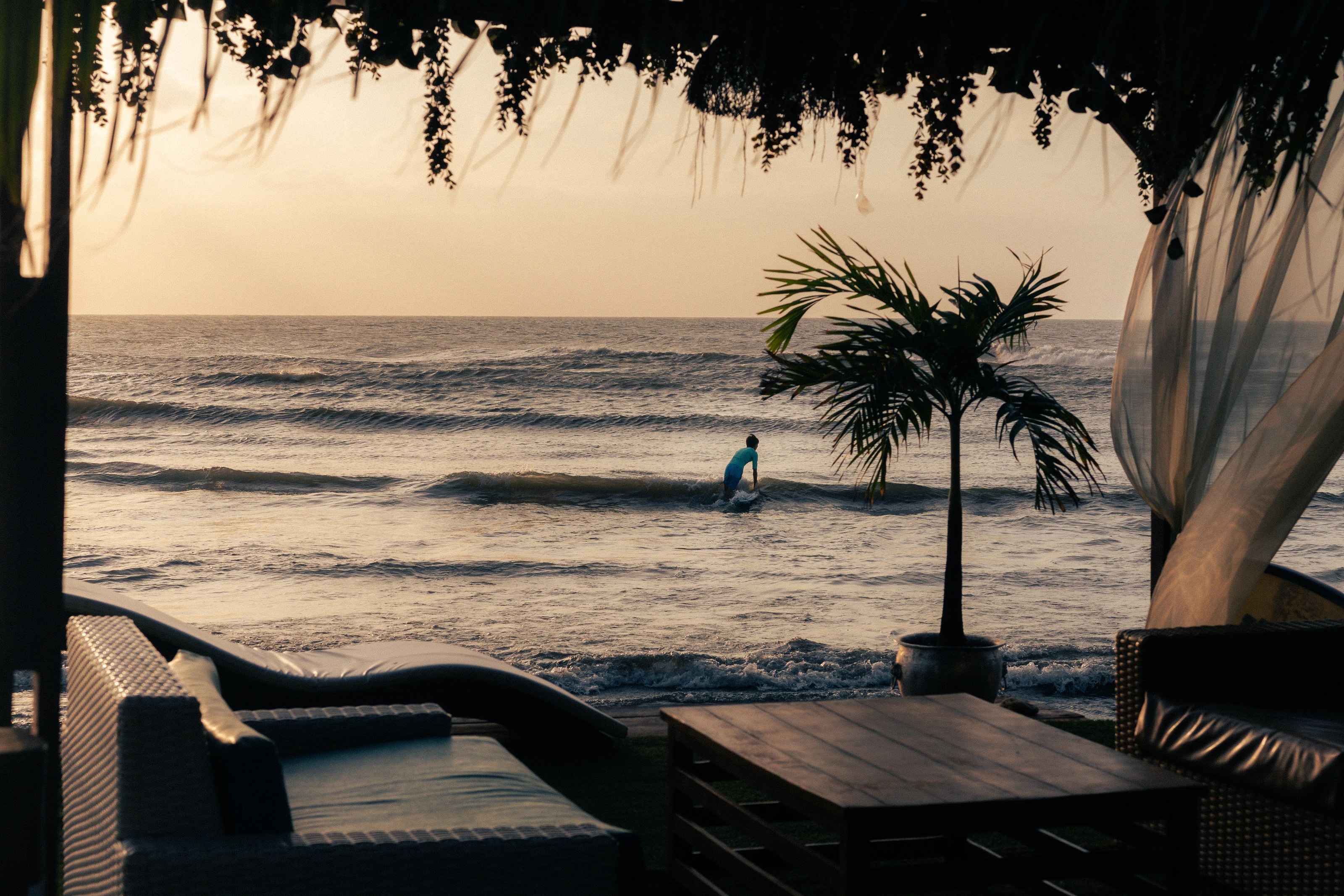 A palm and terrace overlooking sunlit waves