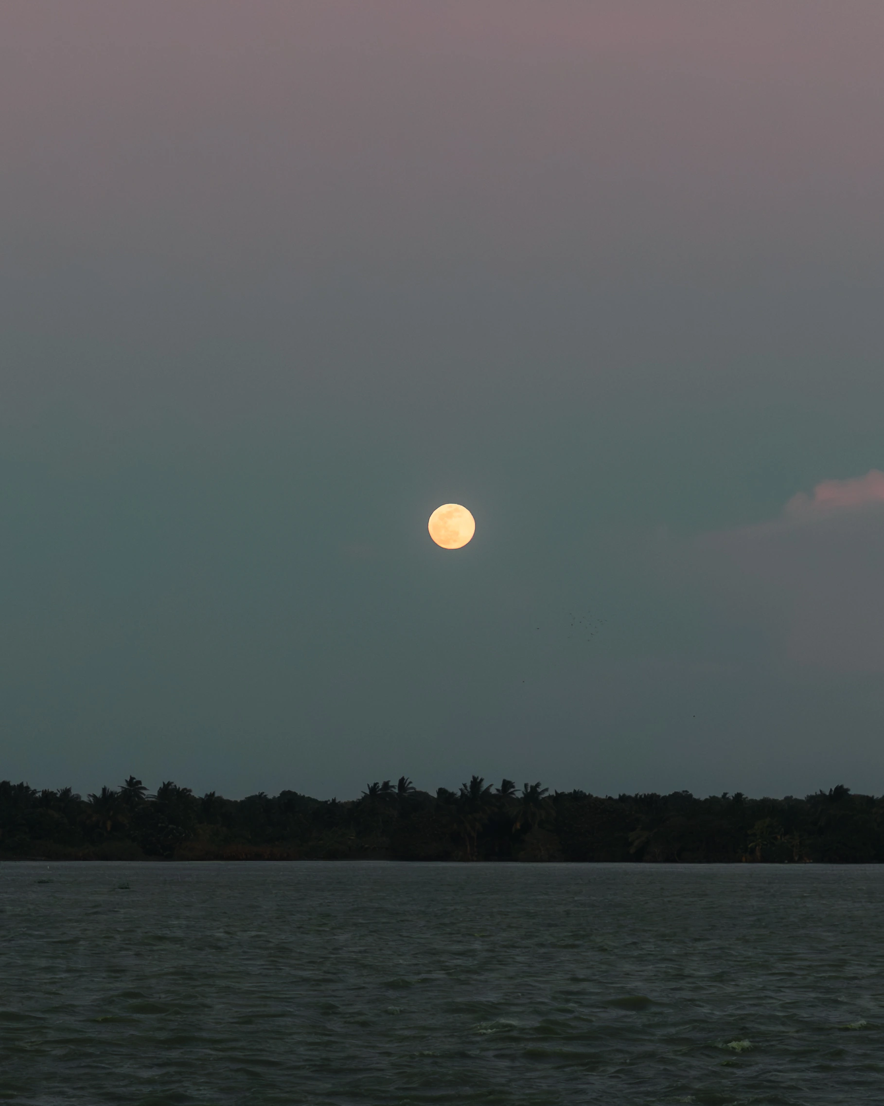 The moon above dark water at dusk