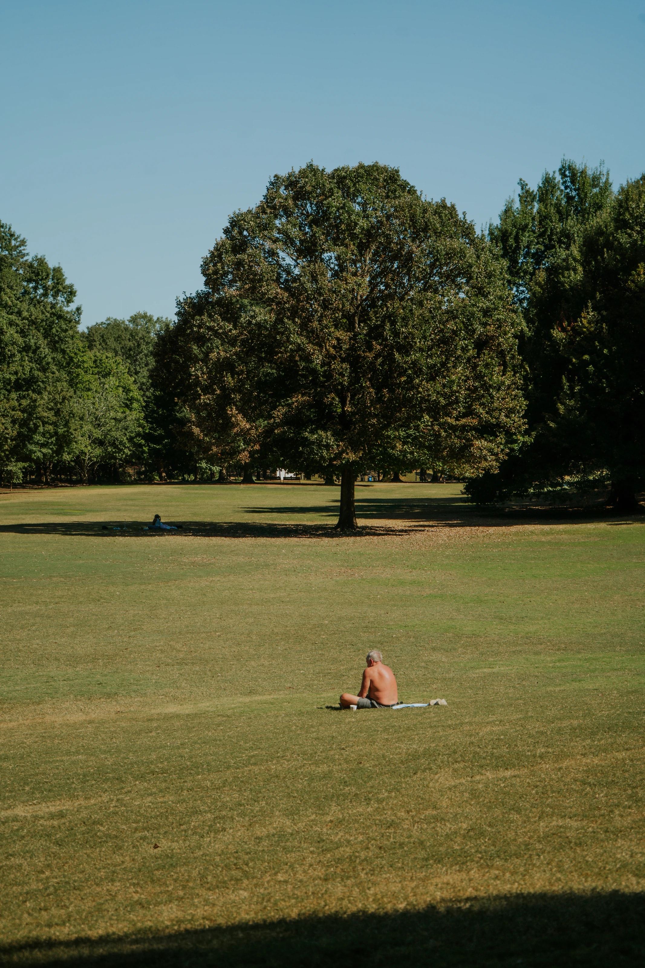 A solitary figure on an open green lawn